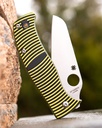 Spyderco Caribbean Salt LC200N #C217GP