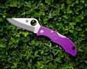 Lady Bug 3 Purple PE #LPRP3