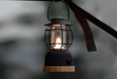 WILD LAND KNIGHT SE LAMP