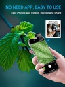 Green Lion Smartphone Microscope 200x - Green #GN200XMICSGN