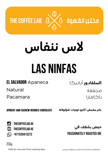 [03105] Las Ninfas Coffee Beans 250g - Coffee Lab
