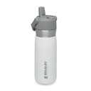 Stanley GO 650ml/22oz Flip Straw Wtr Btl Polar