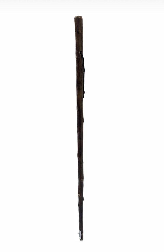 WALKING STICK CHESTNUT SHAFT/COMPASS #OR4138