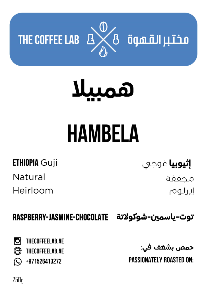 [03076] قهوة مختصة هامبيلا 250 غ مختبر القهوة
