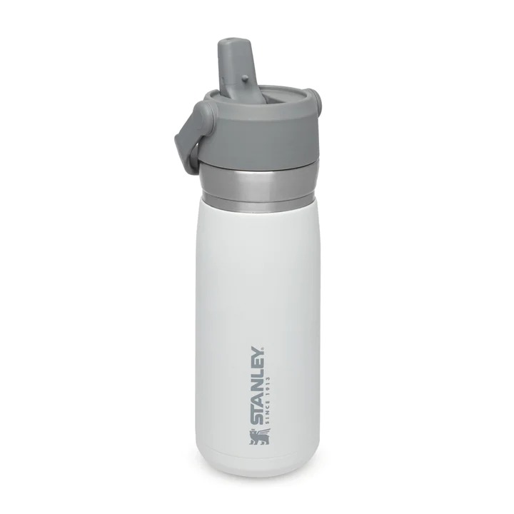 [05328] Stanley GO 650ml/22oz Flip Straw Wtr Btl Polar