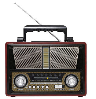 DLC RADIO ALL IN 1 #32204B
